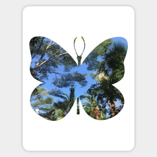 Butterfly effect Sticker